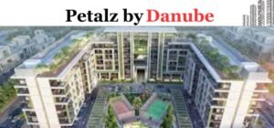 Petalz by Danube at Warsan Dubai
