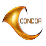 The Condor Group